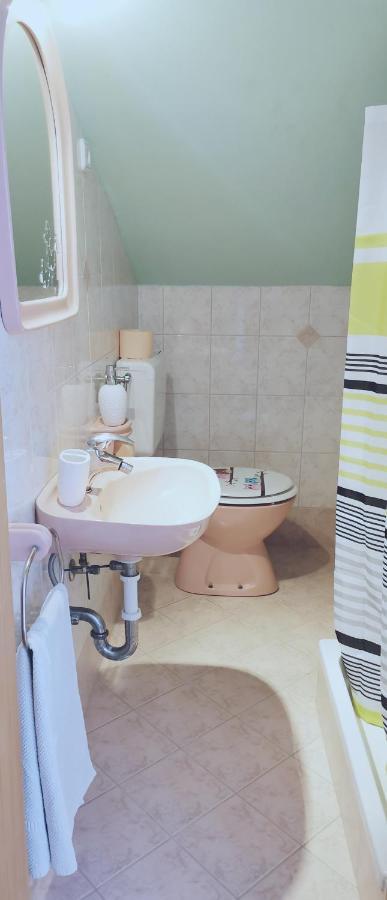 מדולין Apartman Jancic מראה חיצוני תמונה